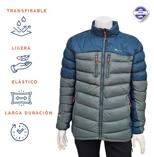 Cazadora acolchada Genius tallas grandes M-3XL verde/azul/negro